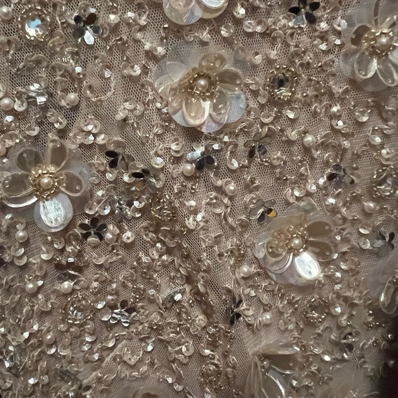 Adrianna Papell Mother of the Bride Dress - Picture 4 of 4